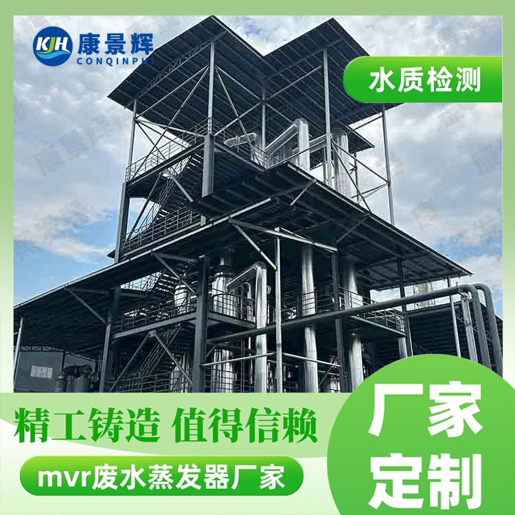 氯化鈷蒸發結晶MVR工藝