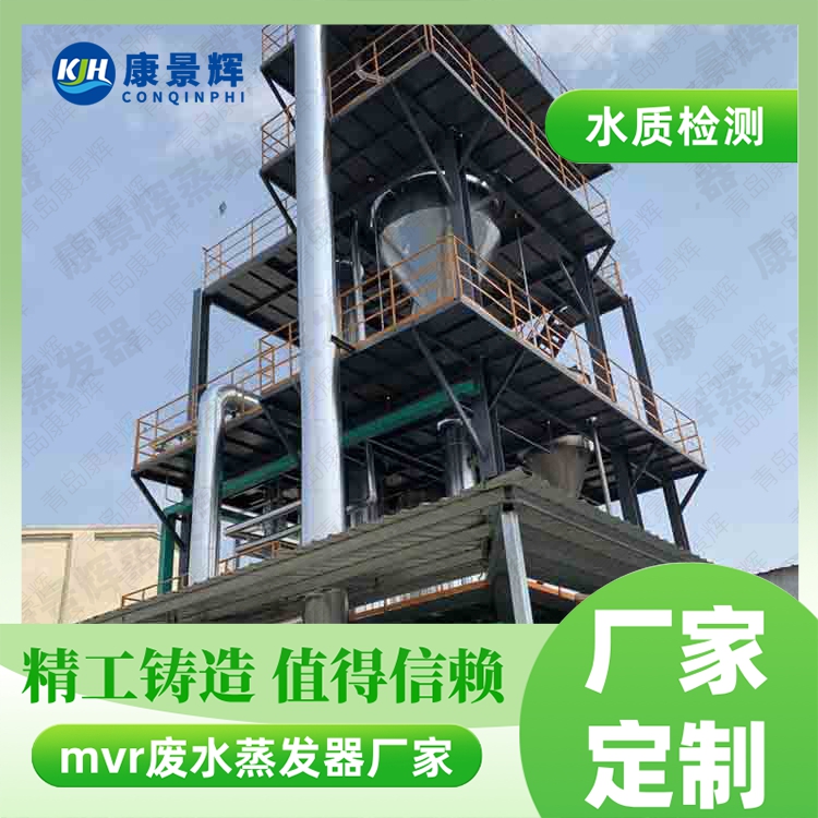 硫酸鎳 MVR 蒸發結晶系統